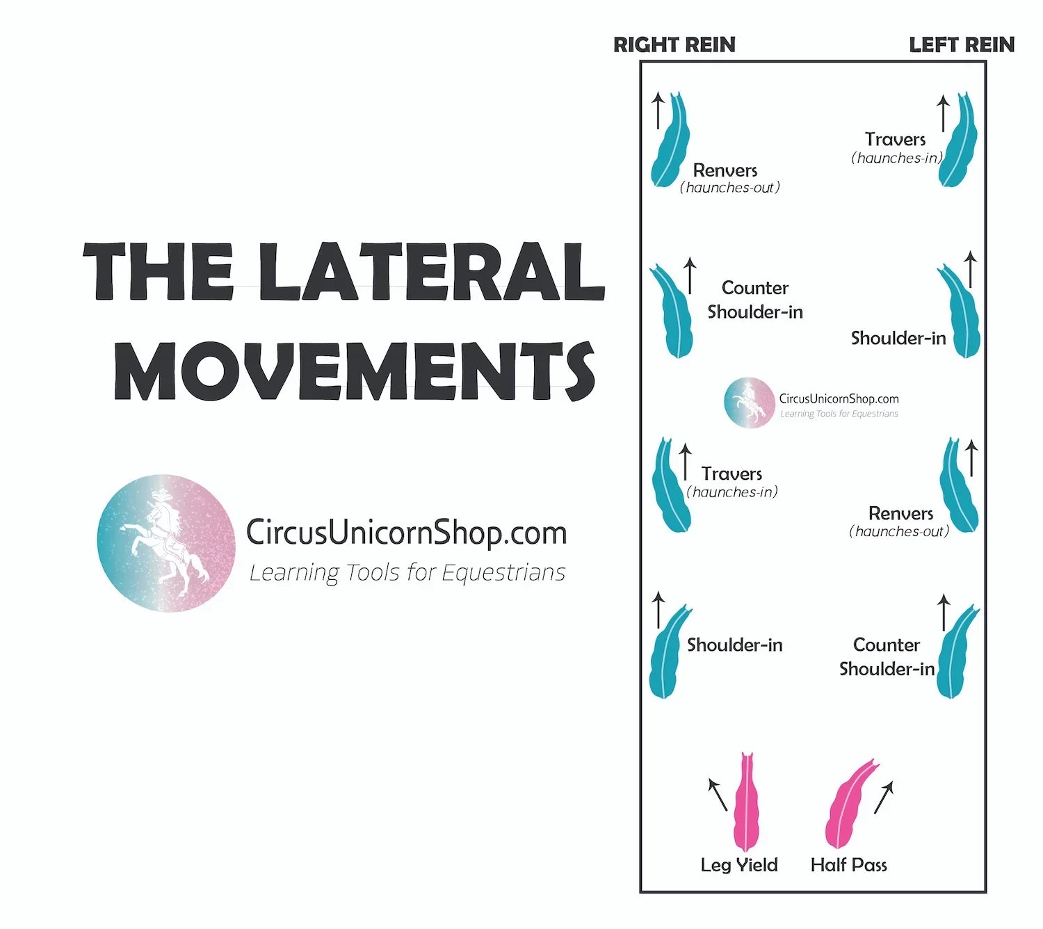 Lateral Movements Don’t Have to Melt Your Brain: A Practical Guide for Real Riders