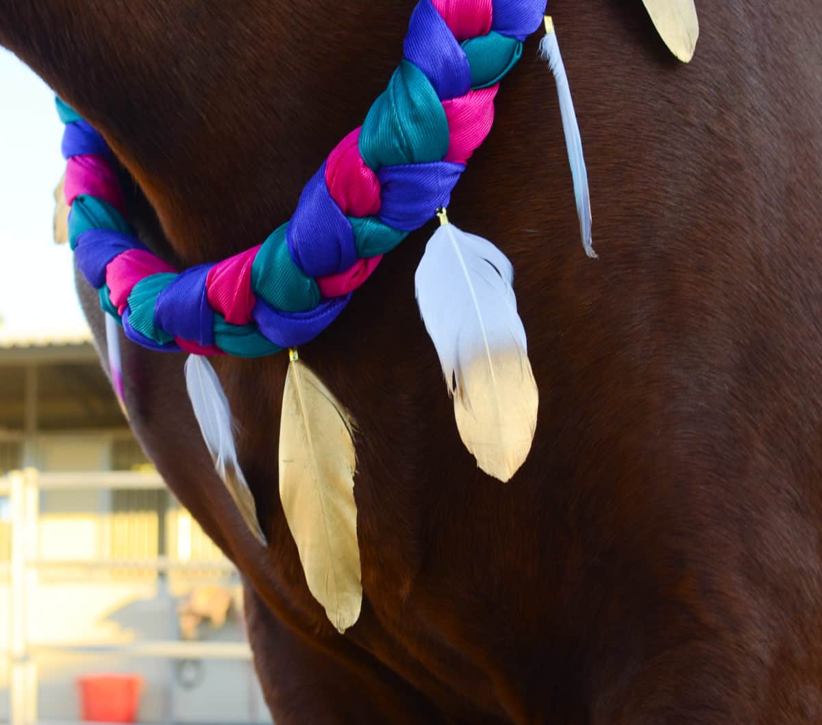 Feather Neck Wreath