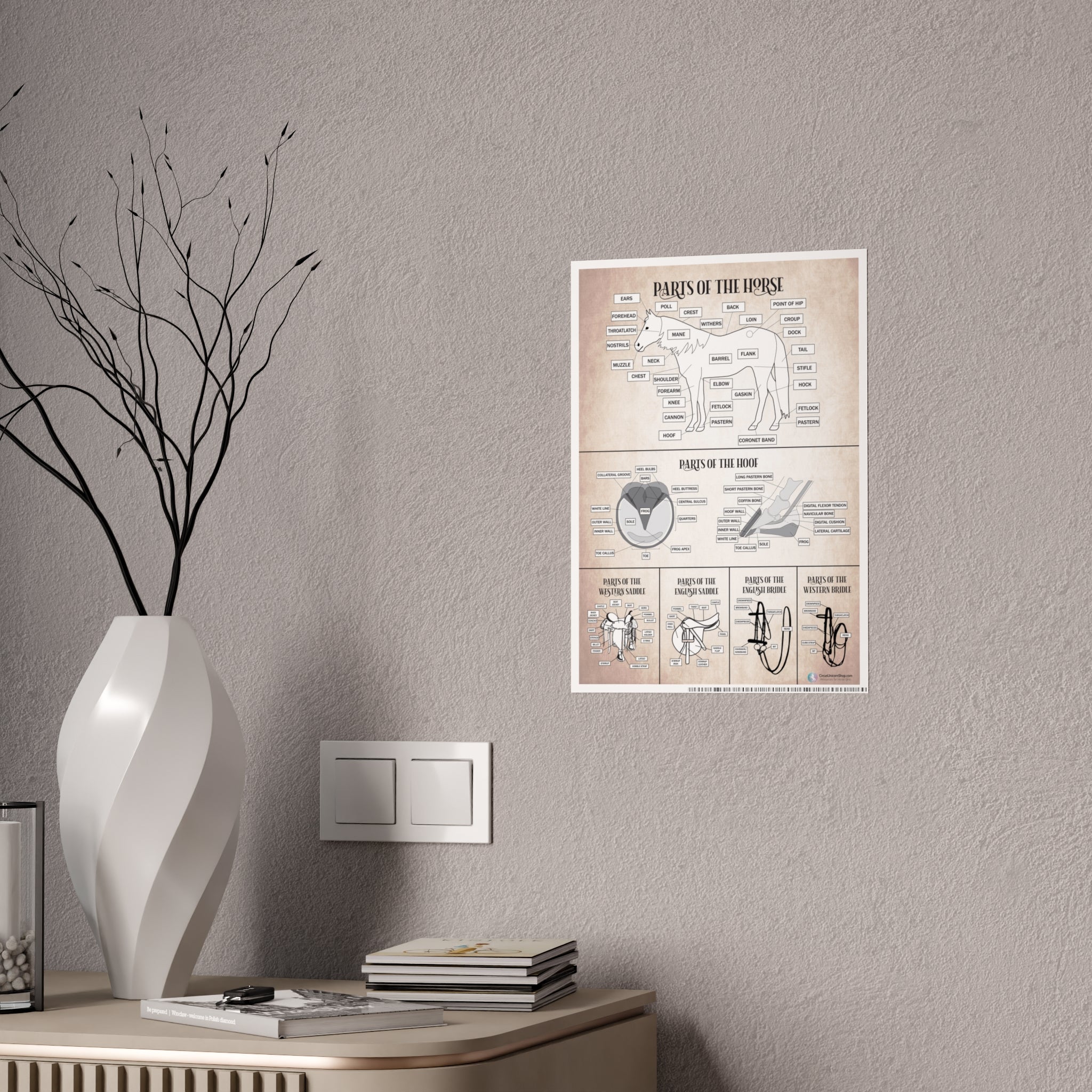 Parts of the Horse Poster - Natural