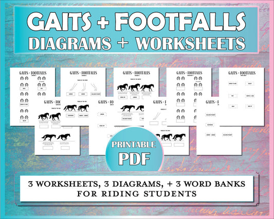 Horse worksheets to help horse owners and riding students understand the horse's gaits and the footfalls of the walk, trot, and canter.