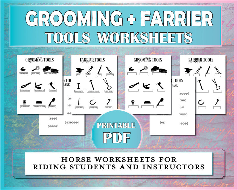 Horse worksheets to teach equestrian students to identify horse brushes, grooming tools, and farrier tools.