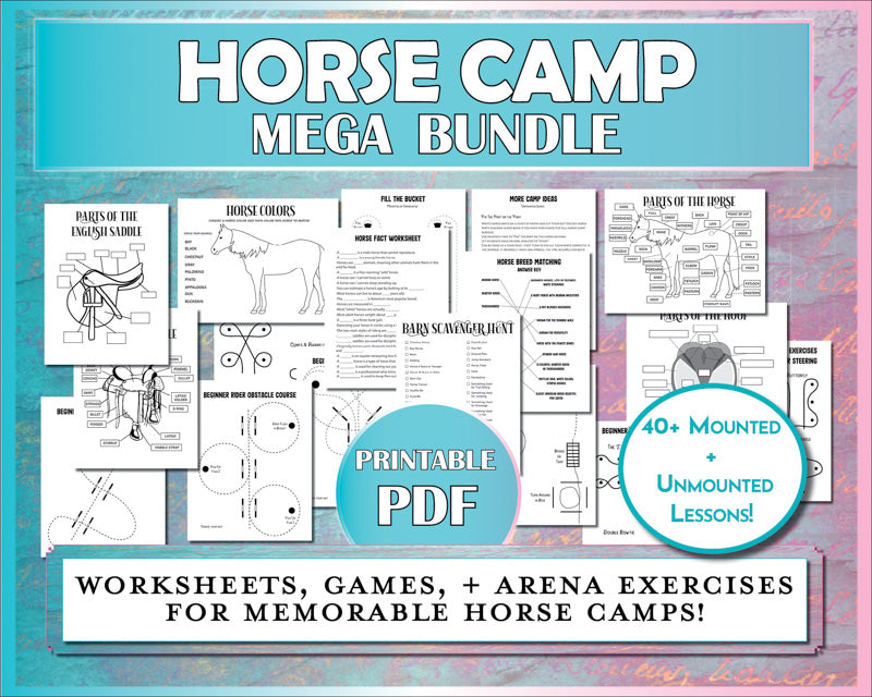 This Horse Camp Printable Bundle includes worksheets, arena exercises, and games for a successful horse camp!