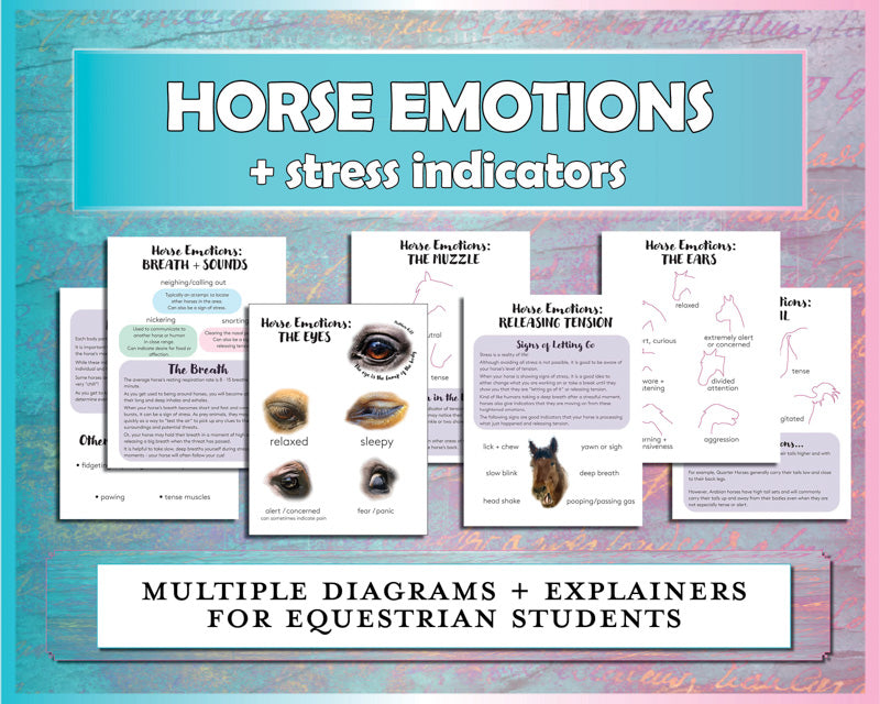 Horse Emotions Study Guide