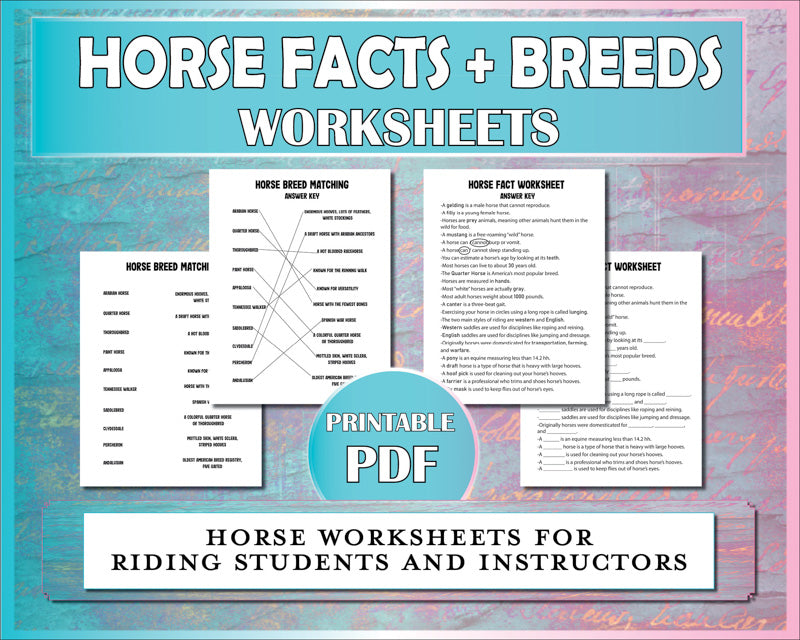 Horse worksheets for equestrian students to learn about horse facts and horse breeds.