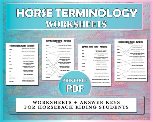 Horse worksheets for matching common horse terms with descriptions.