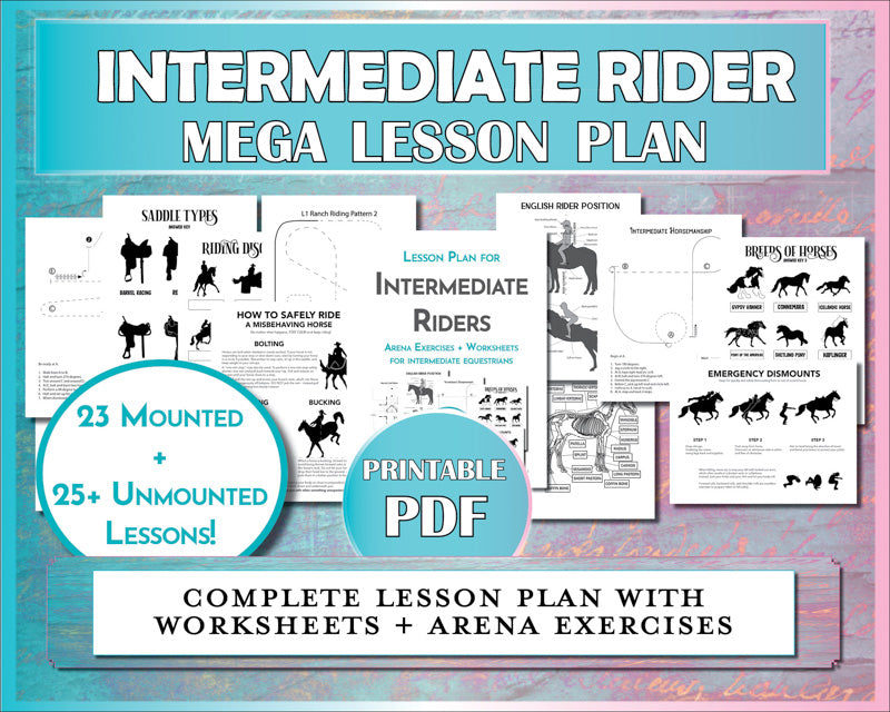 This intermediate rider lesson plan includes horse worksheets and arena exercises and patterns for advancing horseback riding students.