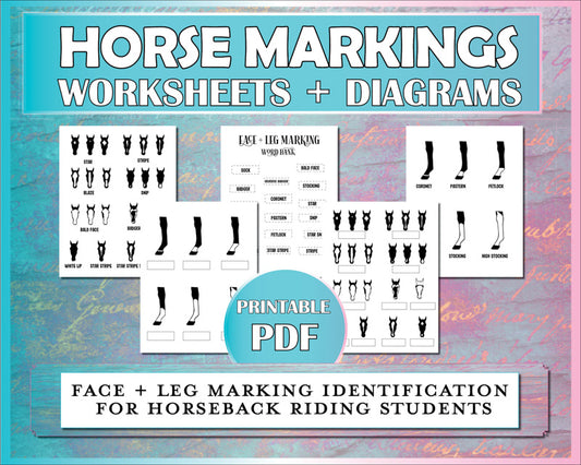 These horse worksheets help horseback riding students to learn to identify face and leg markings on horses.