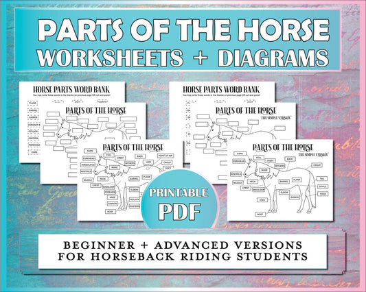 This Parts of the Horse worksheet describes horse parts for teaching horseback riding students.