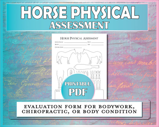 Horse physical assessment form for equine bodywork, chiropractic, veterinary, or body condition score.