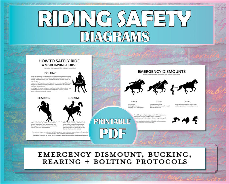 Baground Safety Riding Horse Riding Safety Printable Diagram (Printable)