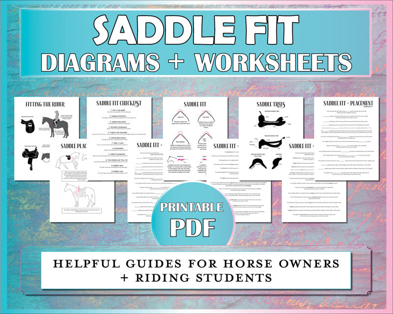 Saddle fit diagrams teach horse owners and riding students how to fit horse and rider for English and western saddle trees.
