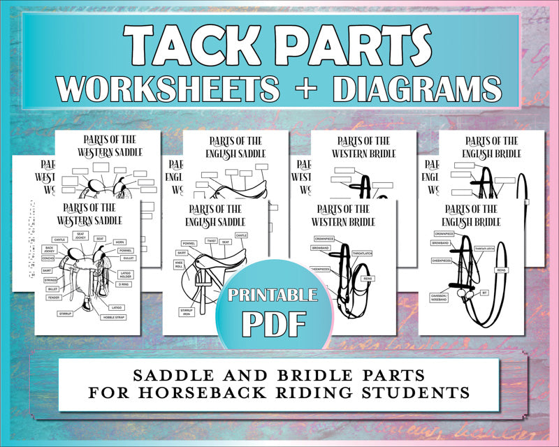 These tack parts worksheets and diagrams describe the parts of the bridle and parts of the saddle for English and western horseback riding students.