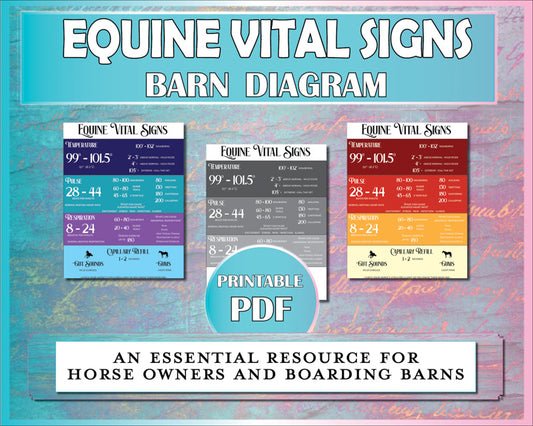 Equine vital signs diagram is essential for horse owners and boarding barns.